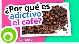 ¿Por qué es adictivo el café?